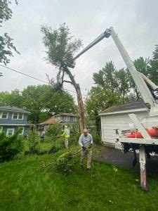 contractors in|Tree Removal & Trimming Fawn Creek Ks 